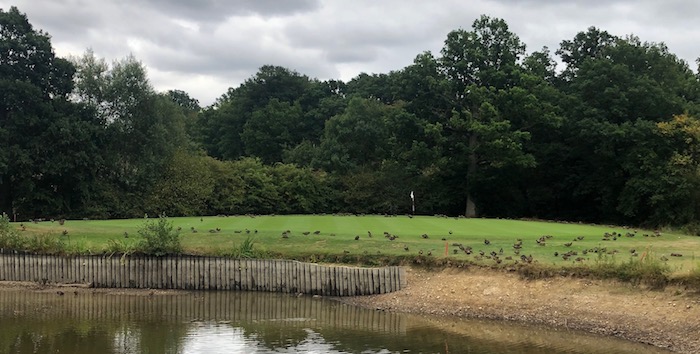 Nizels Golf Club